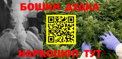 PSILOCYBIN Камышлов