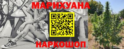 PSILOCYBIN Камышлов