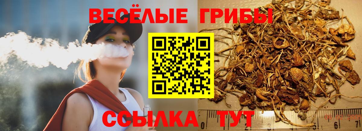 Шарыпово  Псилоцибиновые грибы Magic Shrooms  Вход с VPN 